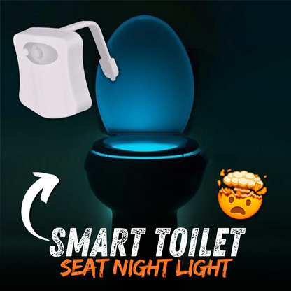 Motion Sensing Toilet Light