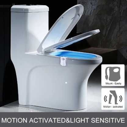 Motion Sensing Toilet Light