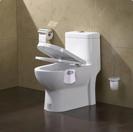 Motion Sensing Toilet Light