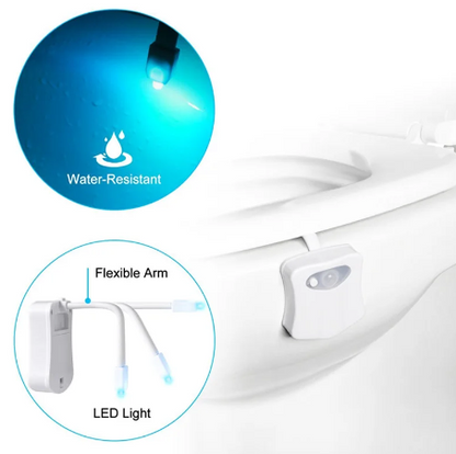 Motion Sensing Toilet Light